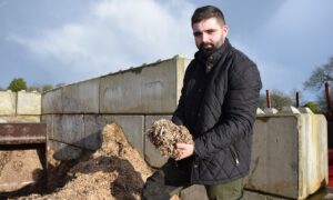 Un homme devant un silo de rhizomes de miscanthus « régénéré ».avec une poignée de ces rhizomes dans les mains