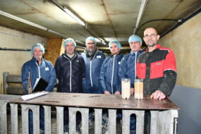 Des hommes dans un élevage de porcs