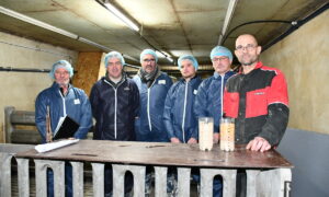 Des hommes dans un élevage de porcs