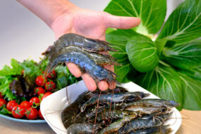 Des gambas présentées dans une main avec une assiette de gambas et une autre de légumes en arrière plan