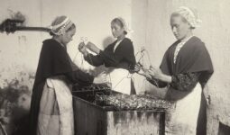 Photo d'époque des Penn Sardin