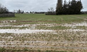 Une parcelle agricole innondée