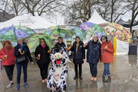 Sept femmes avec des parapluies prennent la pose avec mascotte,une vacche noire et blanche