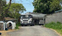 Un camion-citerne entre dans la cour d'une ferme où on aperçoit des niches à veau pour collecter la production.