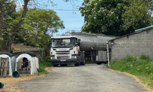 Un camion-citerne entre dans la cour d'une ferme où on aperçoit des niches à veau pour collecter la production.