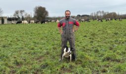 Un éleveur en combinaison de travail avec son chien de troupeau de race Border collie dans une prairie où pâture un troupeau de vaches de race Holstein au second plan