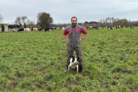 Un éleveur en combinaison de travail avec son chien de troupeau de race Border collie dans une prairie où pâture un troupeau de vaches de race Holstein au second plan