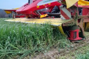 Gros plan sur du matériel de fauche d'herbe au traval dans un champ