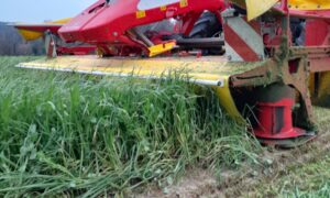 Gros plan sur du matériel de fauche d'herbe au traval dans un champ