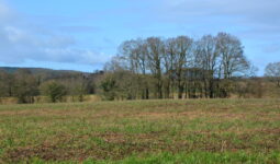 bocage breton en hiver