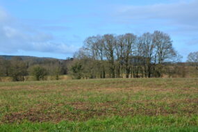 bocage breton en hiver