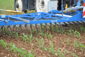 Gros plan sur une herse étrille au travail dans un champ