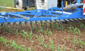 Gros plan sur une herse étrille au travail dans un champ