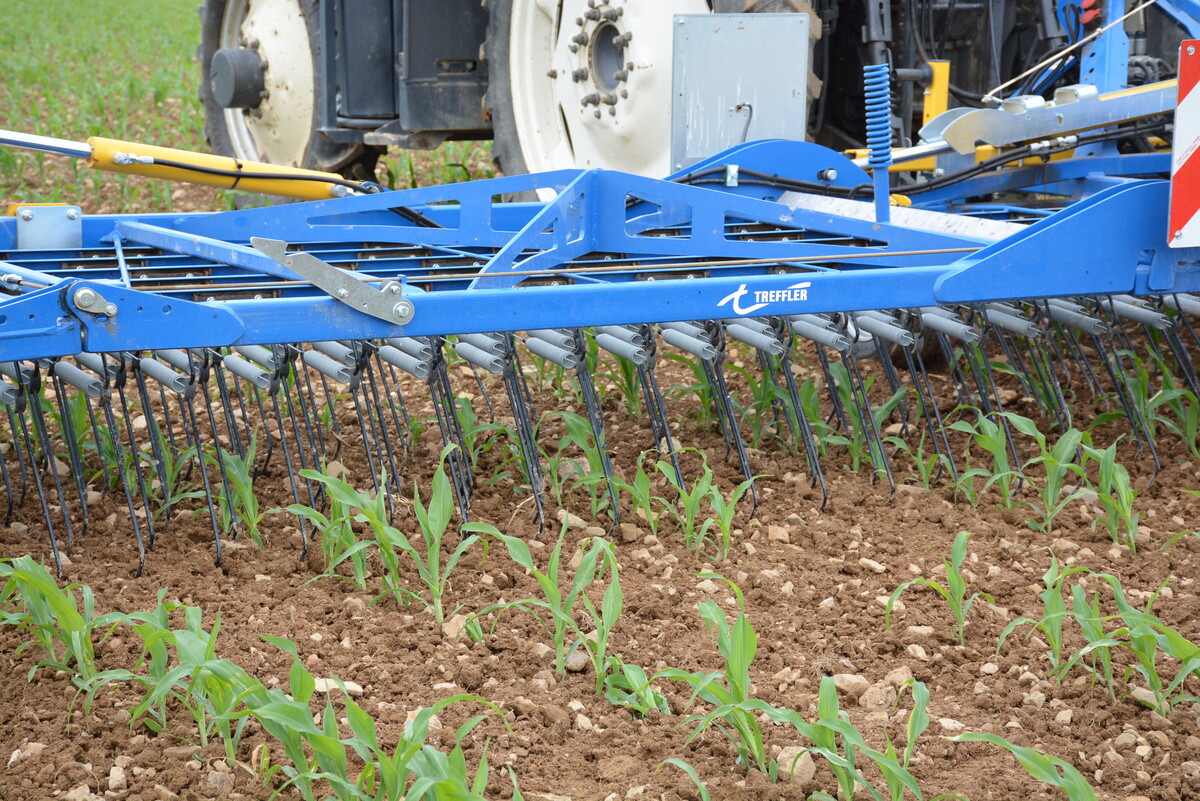 Gros plan sur une herse étrille au travail dans un champ - Illustration Paiements pour services environnementaux : Pour sortir du &lsquo;tout-curatif&rsquo;