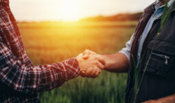 gros plan sur une poignée de main entre agriculteurs dans un champ avec le soleil couchant derrière
