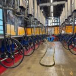 Une salle de traite colorée dans un élevage laitier