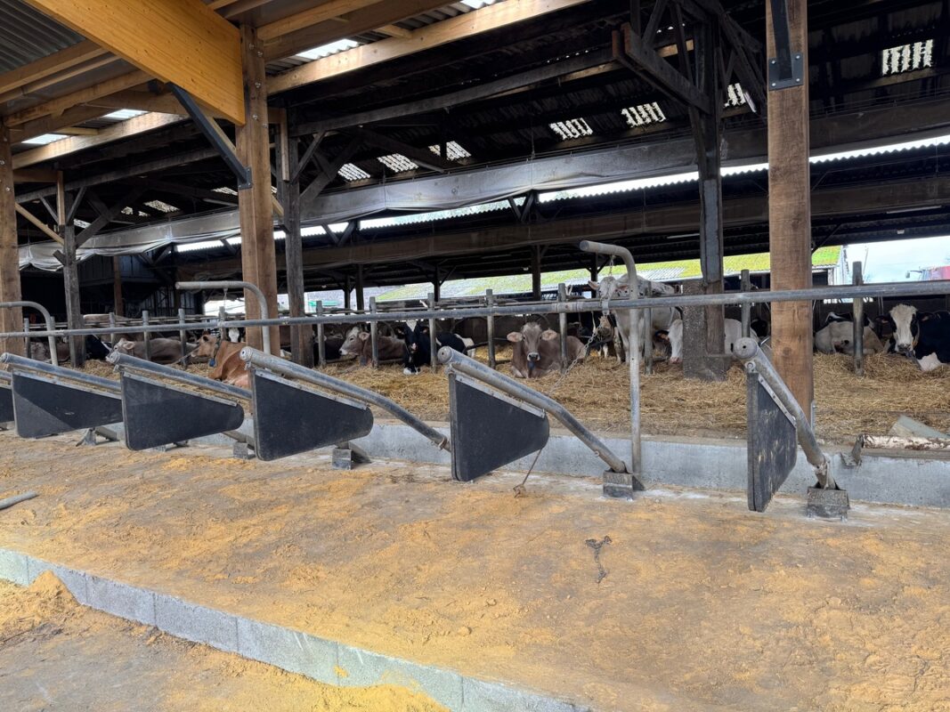 Tubulure d'occasion pour les nouvelles places de logettes sur dolomie.