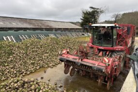 Une arracheuse à betteraves au repos dans un silo de stockage.