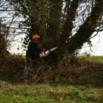 Un homme qui coupe un arbre dans une haie avec une tronçonneuse