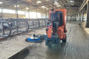 Une balayeuse au travail dans un bâtiment d'élevage bovin