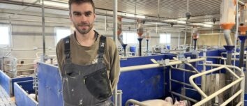 éleveur dans une maternité d'élevage de porcs