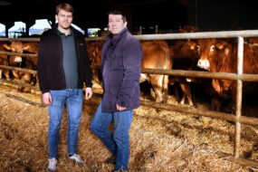 Deux hommes devant un parc avec des vaches dans un bâtiment d'élevage