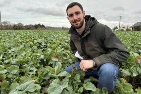 Un homme accroupi dans un champ de colza