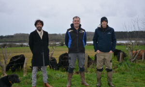 Trois personnes dans un champ
