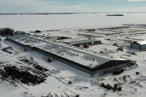 Bâtiment d'élevage sous la neige