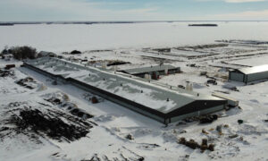 Bâtiment d'élevage sous la neige