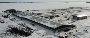Bâtiment d'élevage sous la neige