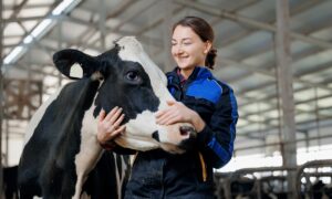 shutUne jeune femme qui caresse la tête d'une vache en la regardant tendrement