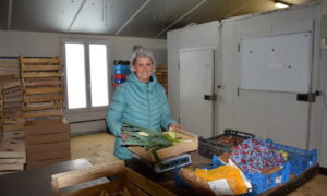 Une femme avec une charlotte qui remplit et pèse des cageots de légumes