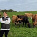Une éleveuse accompagne de vaches de race Jersiaise au pâturage