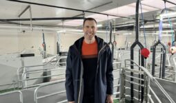 Éleveur porcin dans maternité neuve