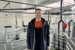 Éleveur porcin dans maternité neuve