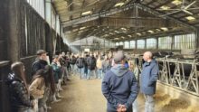 groupe de collégiens dans une stabulation