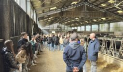 groupe de collégiens dans une stabulation