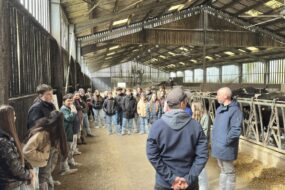 groupe de collégiens dans une stabulation