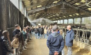 groupe de collégiens dans une stabulation