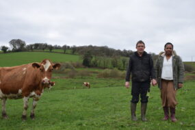 Un couple d'éleveur dans un champ aux côtés de l'une des vaches Pie Rouge de leur exploitation laitière.