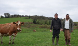 Un couple d'éleveur dans un champ aux côtés de l'une des vaches Pie Rouge de leur exploitation laitière.