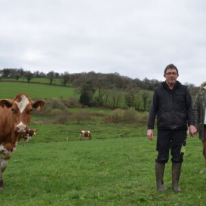 Un couple d'éleveur dans un champ aux côtés de l'une des vaches Pie Rouge de leur exploitation laitière.