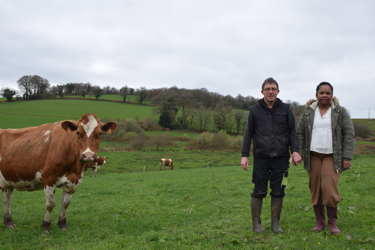 Un couple d'éleveur dans un champ aux côtés de l'une des vaches Pie Rouge de leur exploitation laitière. - Illustration Rouge, la couleur de la passion