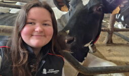 Une jeune femme à côté d'une vache couchée dans une stabulation