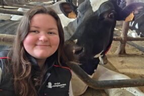 Une jeune femme à côté d'une vache couchée dans une stabulation