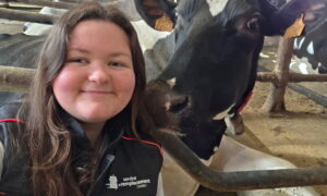 Une jeune femme à côté d'une vache couchée dans une stabulation
