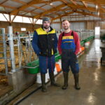 Deux éleveurs dans une nurserie bovine