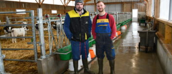 Deux éleveurs dans une nurserie bovine
