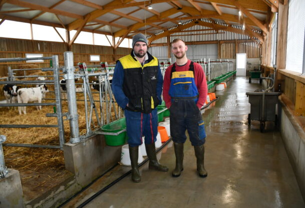 Deux éleveurs dans une nurserie bovine